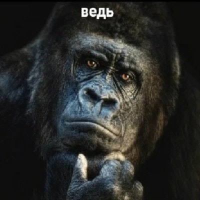 Иль Кодзимов