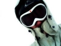 Michael Patrick Connolly