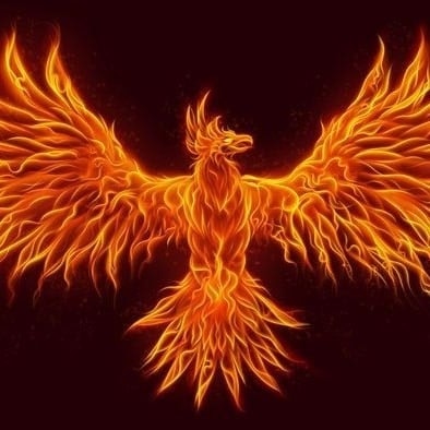 Матвей Земцов