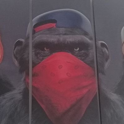 vlados 🌊 (1 ➝ 2)