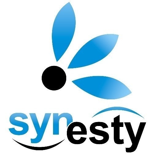 synesty