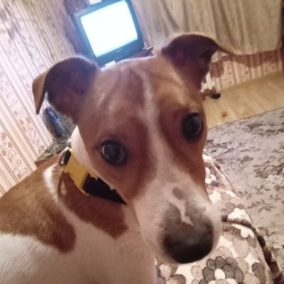 Александр Асташов