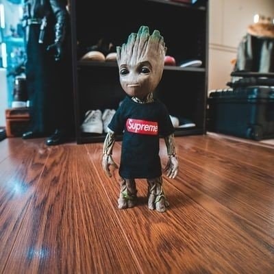 Groot