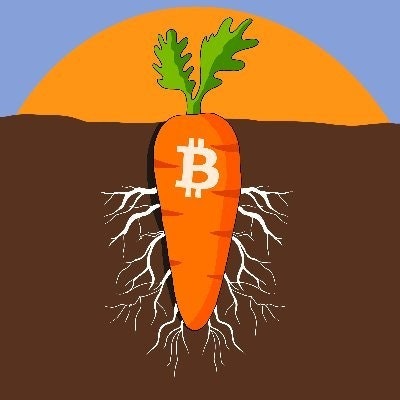 cryptocarrot.me