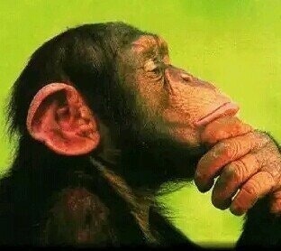 Rodrigo García Rejas