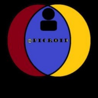 Picroid Official