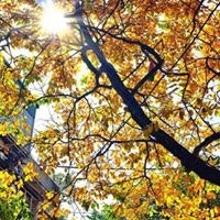 Đặng Ngọc Đức