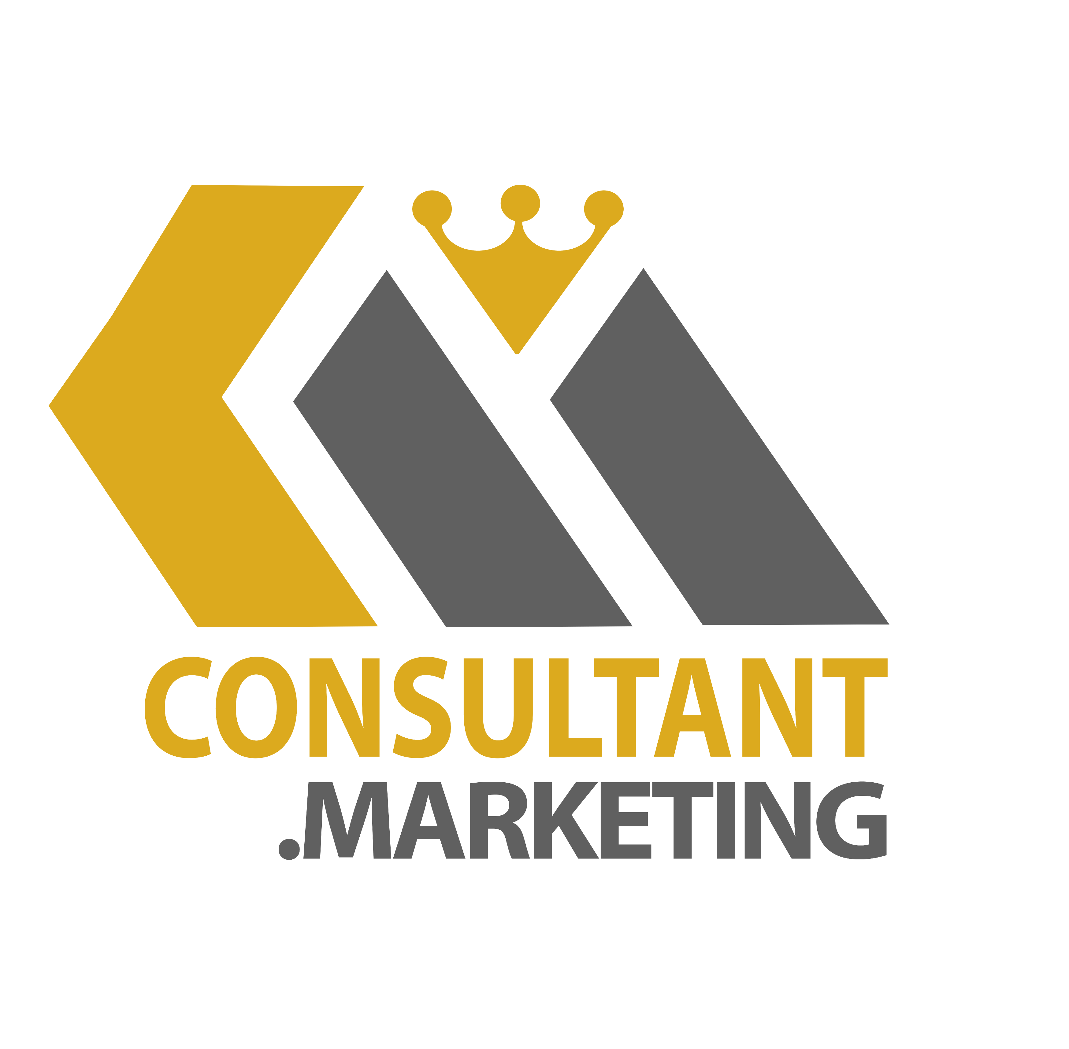 Consultant marketing digital