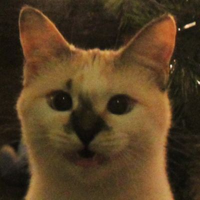 ProductHunt profile picture for @tubes