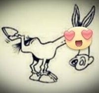 Anderson Oliveira Silva