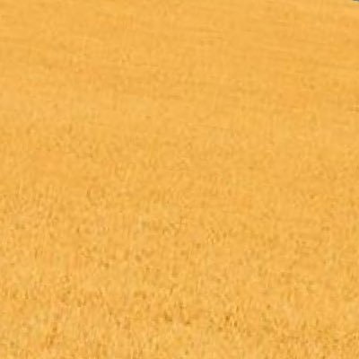 ruslan 🇺🇦 #StandWithUkraine