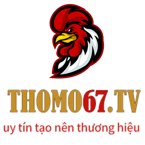 Thomo67 TV