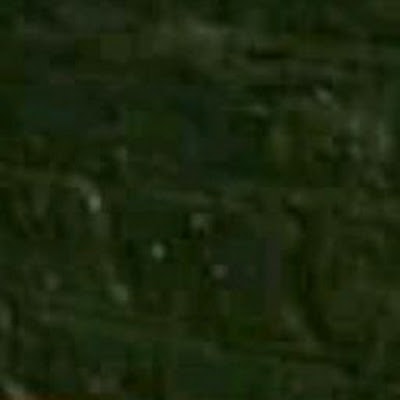 Carlos Alberto Tapía rodriguez