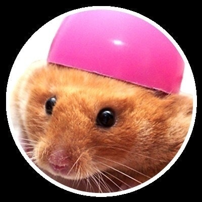 ˗ˏˋ jayna wallace ˎˊ