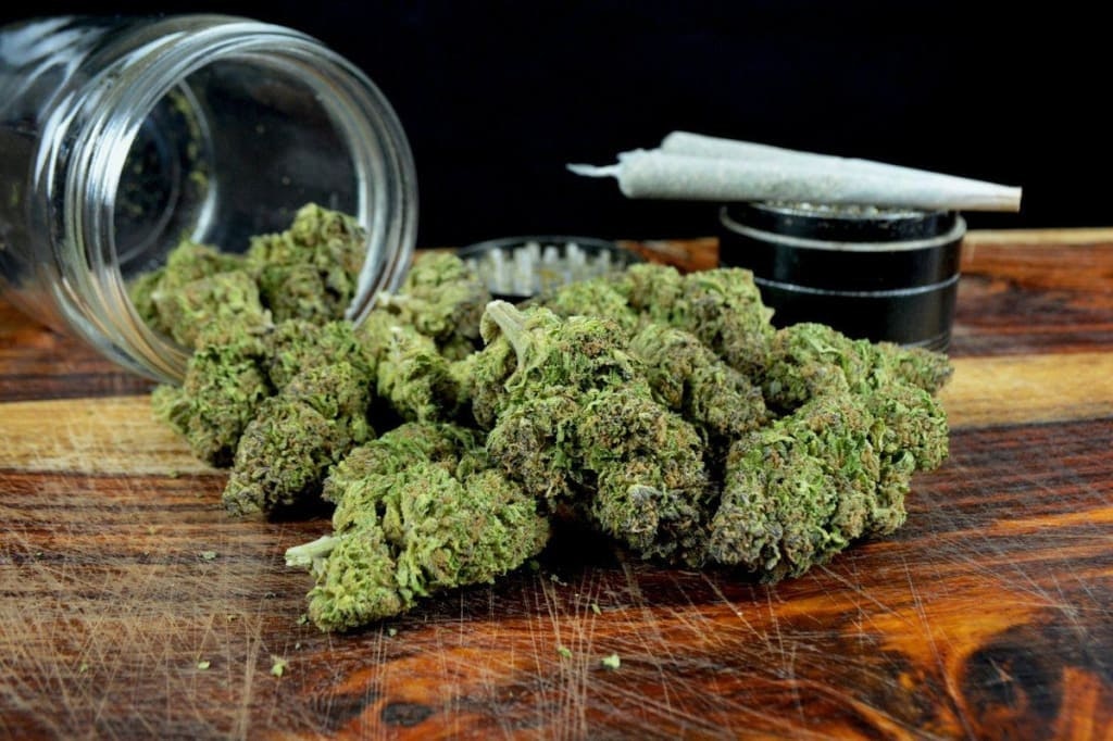 Northern Lights Strain