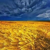 Дмитрий Штанько