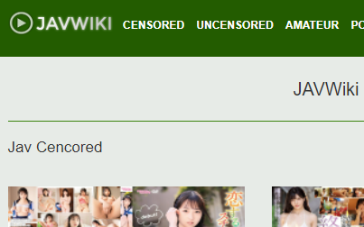 Jav Wiki