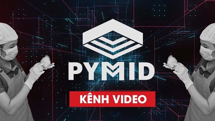 Pymid Truy xuất tổ yến