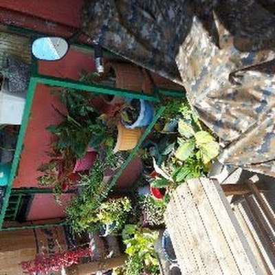 CHRYSTOPHER CASERO DIZON