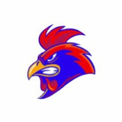 đá gà trực tiếp thomo