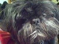 Jean Wallace Milazzo