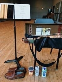 Daniel Kurganov Violinist