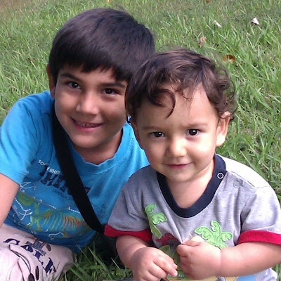 Alcides Morales Guedes