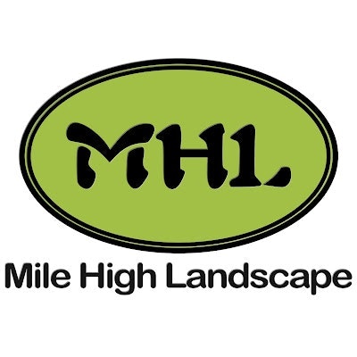 Mile High Landscape