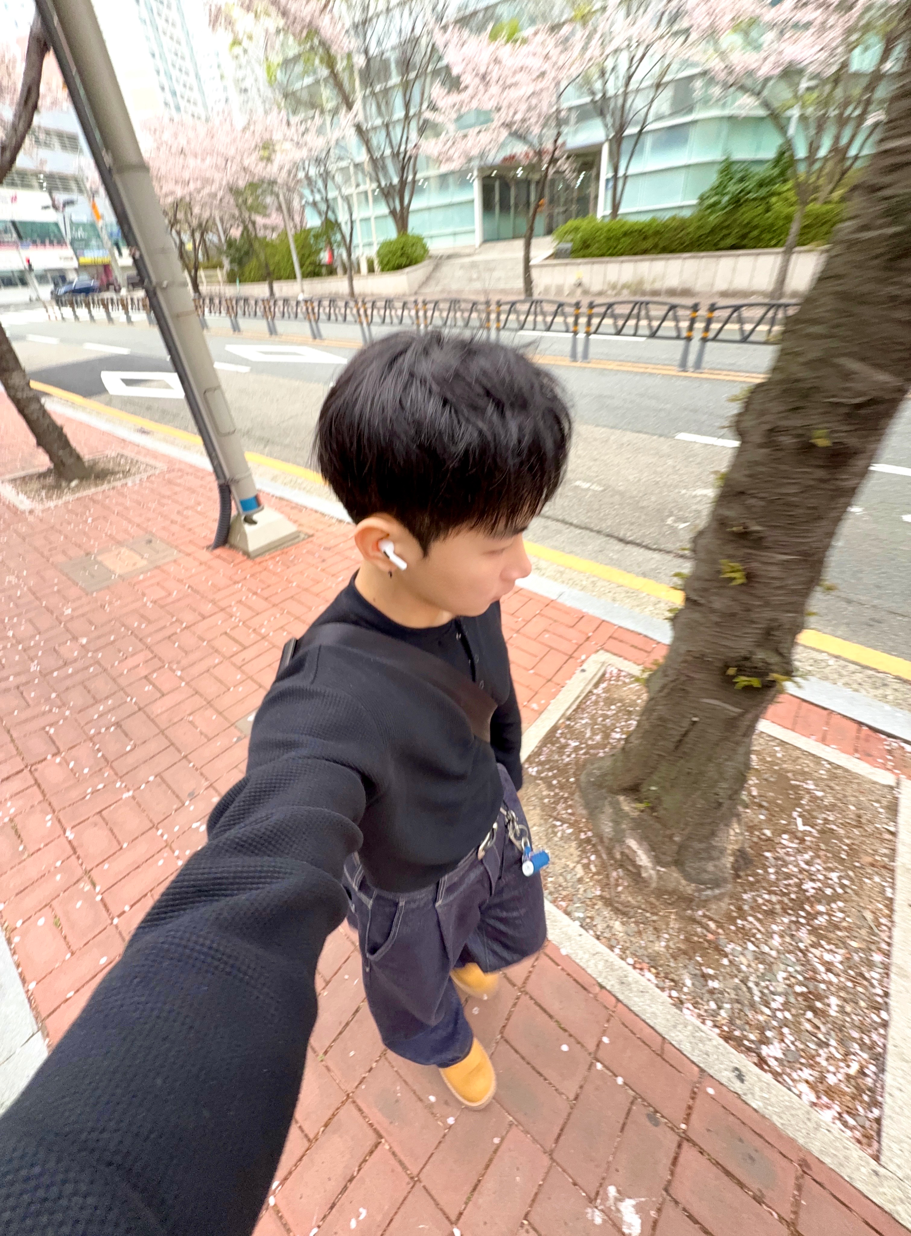 쌍지
