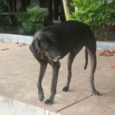 Andrianarivo Misaela