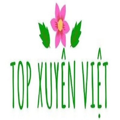 Top Xuyên Việt
