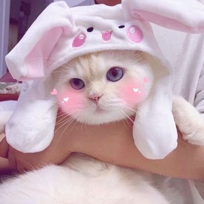 ratna bundanya kanaya