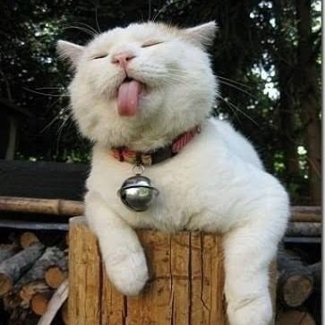 😡ad13z85_🐈🍼