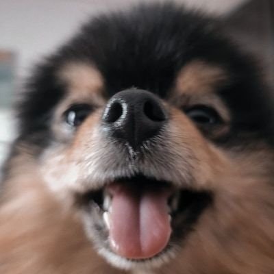 fairy 🧚 | bless you 🦋