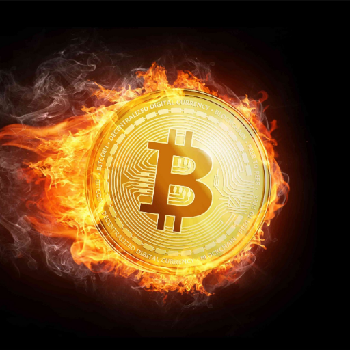 Killi Billi (flezy.near)