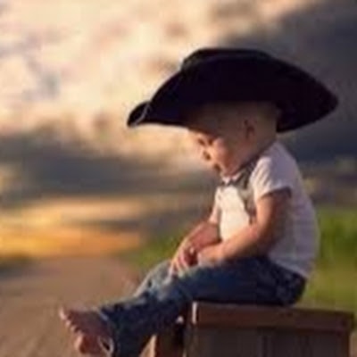 The wonderful world of little dinosaurs