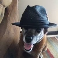 Sara Huntley Dunleavy