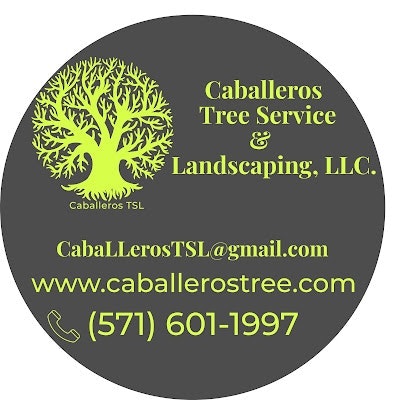 Caballeros Tree Service & Landscaping, L