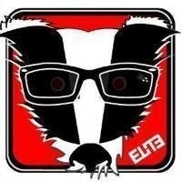 RiotBadger™