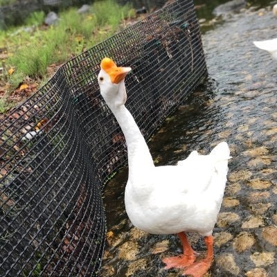 abihs＠趣味遊び。tagどうぞ