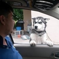 Fernando de la Garza