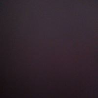 Aneliya Toncheva Bambova