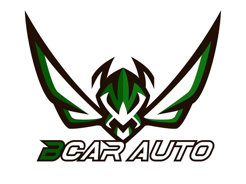 bcar limousine