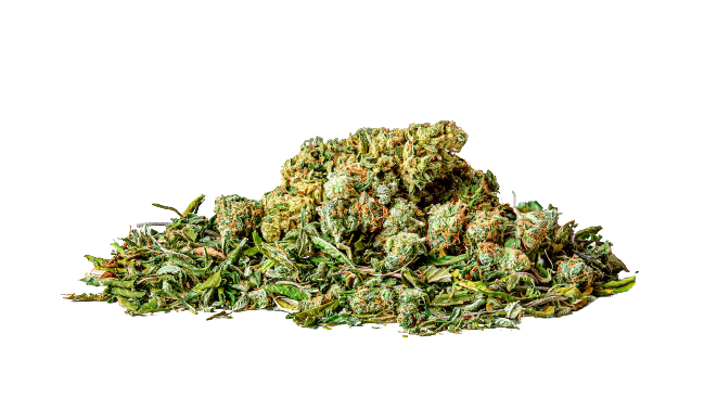 Order Bud Online