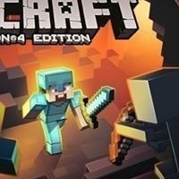 Jose Everardo Pichardo Jaramillo