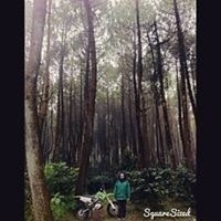 Muhammad Fikran Kamal