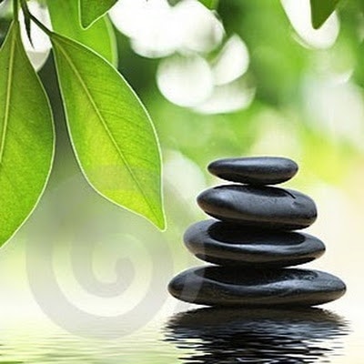 Brigitte Schattenfield