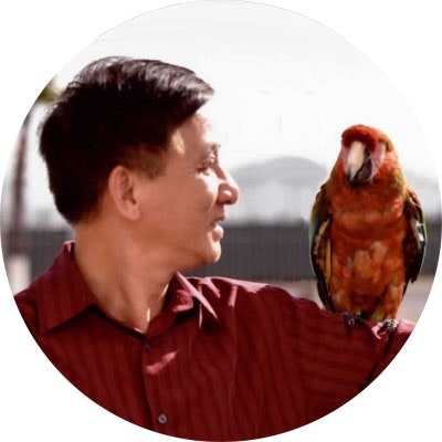 AnLe Design - Digital Creator