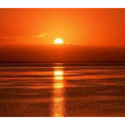 Eng.parasto Ehsanyar