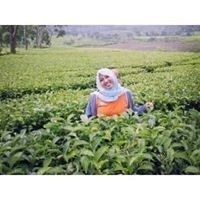 Vika Diana Widi Ansti